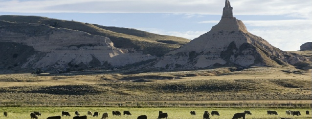 Nebraska - Buffalo graze at the base of Chimney Rock - See America - Visit USA Travel Guide