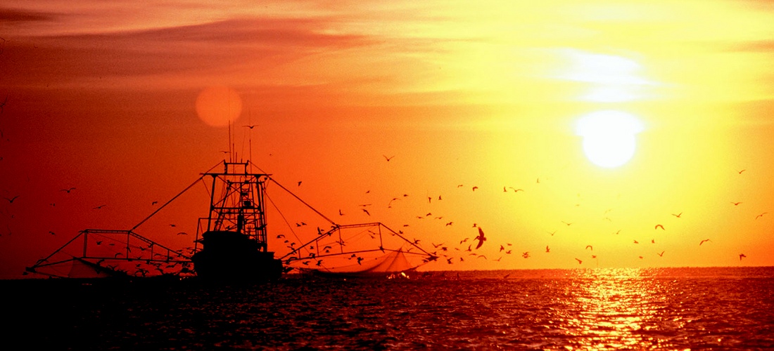 Commercial fishing off the coast of Mississippi.