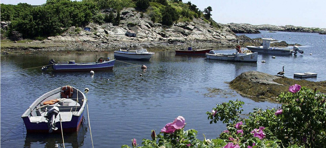 Small fishing boats are tucked away in a cove outside Newport, Rhode Island.