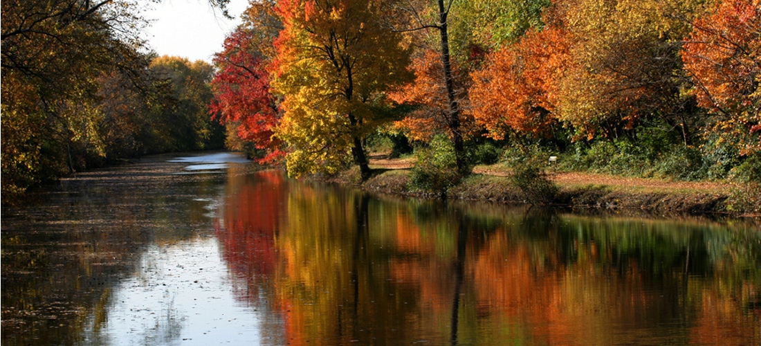 Fall foliage in New Jersey