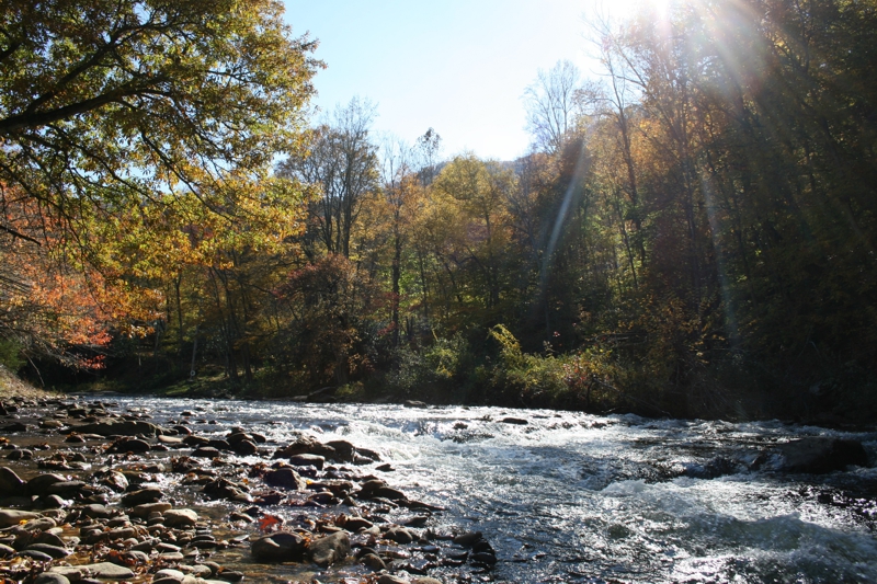 America's Top 10 Rivers