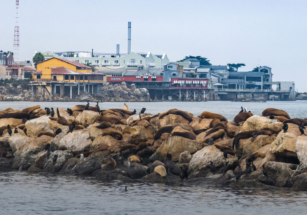 Cannery Row in Monterey, California