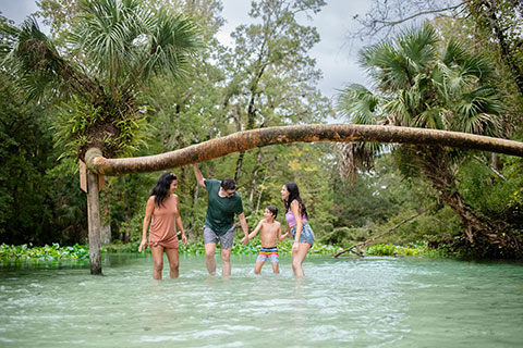 Apopka, Florida