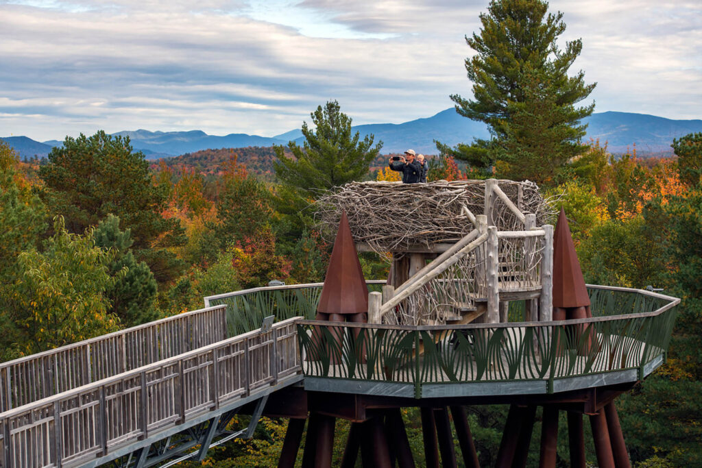 The Wild Center in Tupper Lake, New York