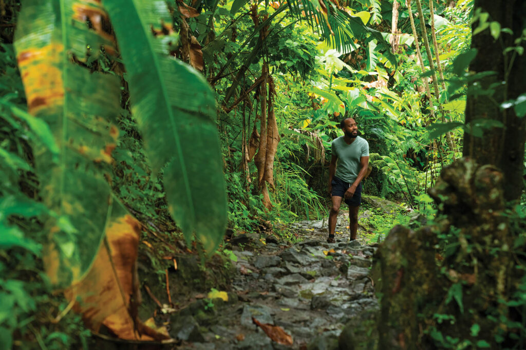 El Yunque National Forest near Río Grande, Puerto Rico