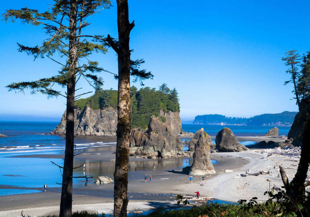Olympic National Park near Seattle, Washington
