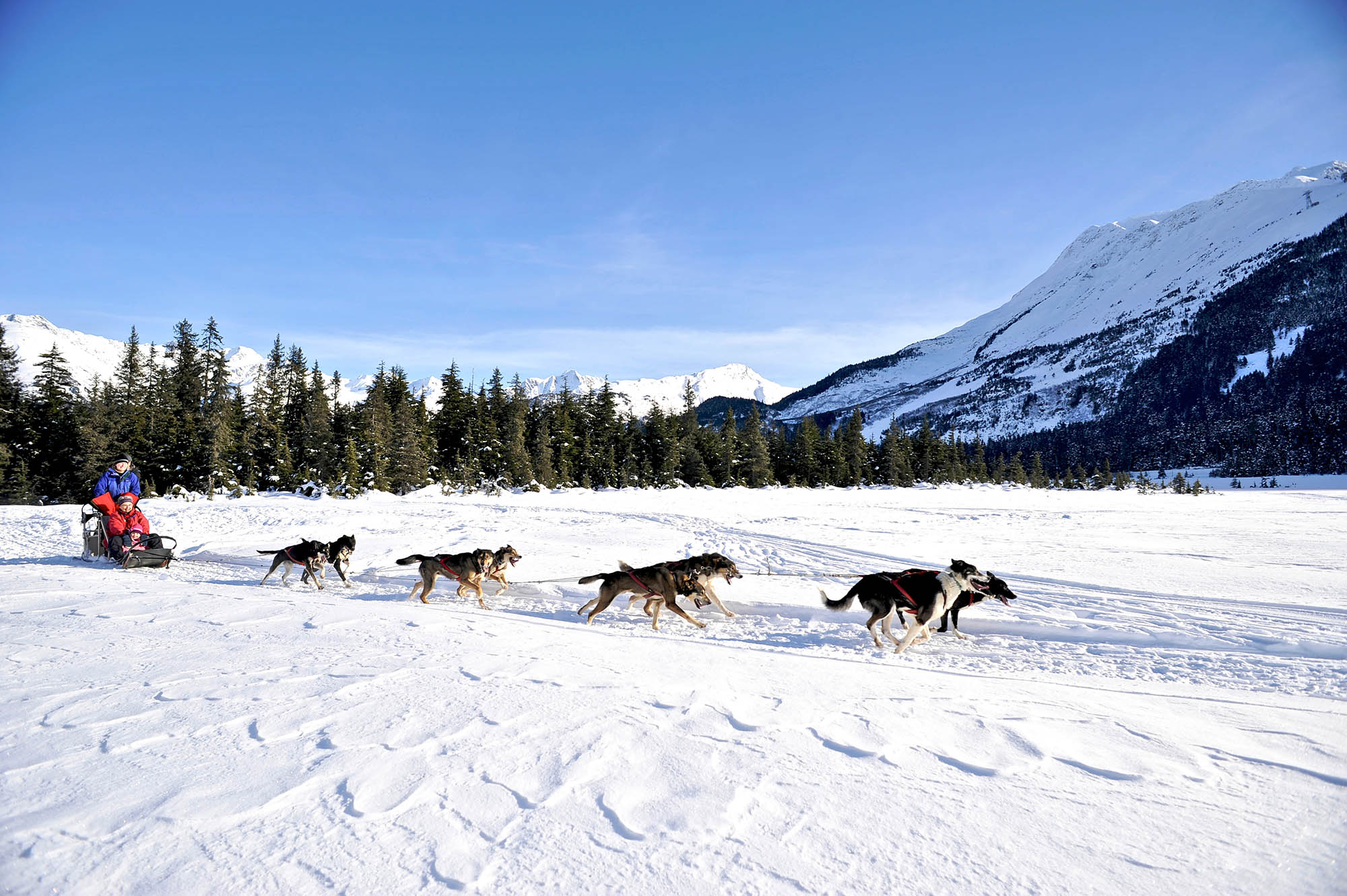 Dog sledding in Girdwood, Alaska
Credit: Matt Hage, Travel Alaska
