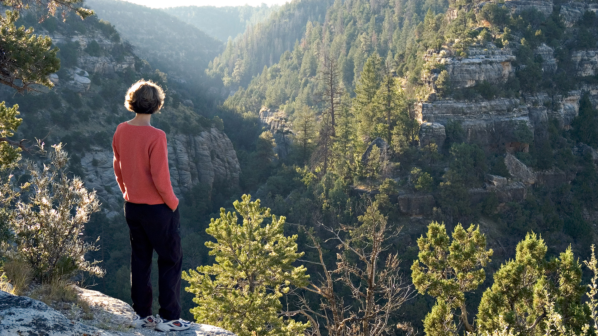 Walnut Canyon National Monument near Flagstaff, Arizona