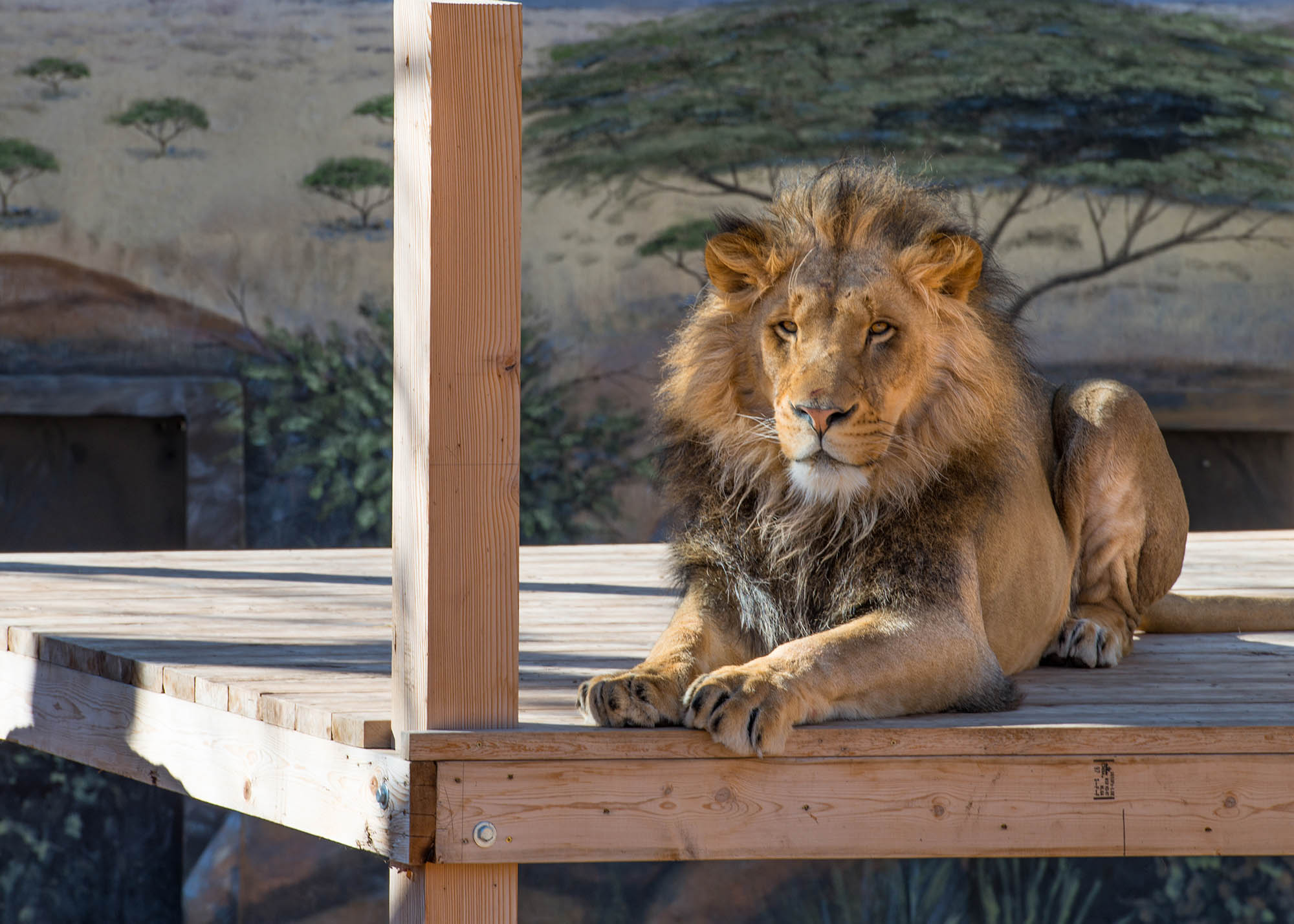 ABQ BioPark Zoo in Albuquerque, New Mexico