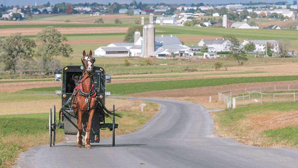 An Amish buggy near Lancaster, Pennsylvania