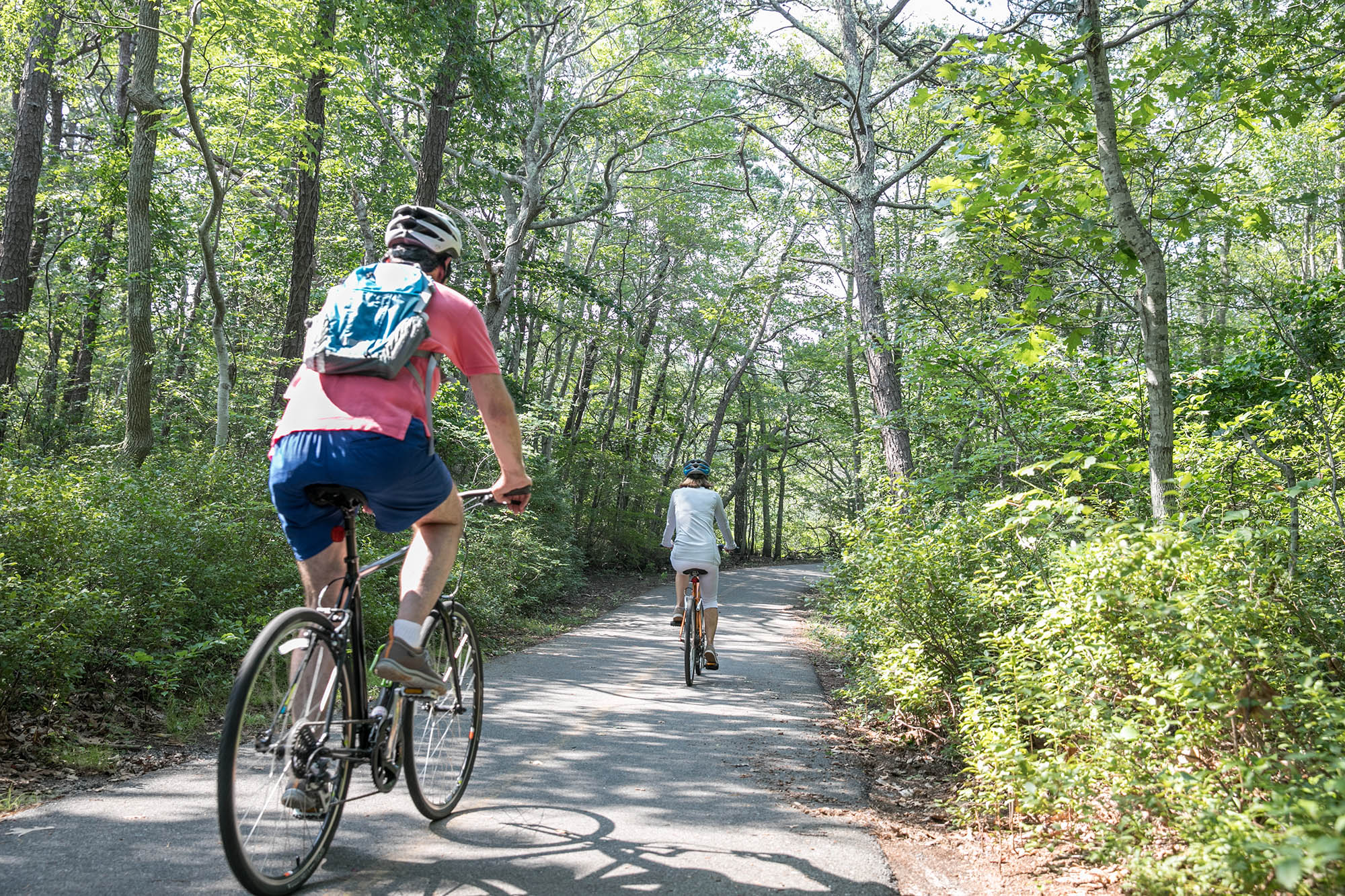 Two people biking down the Provincelands Bike Trail in the Cape Cod National Seashore, Massachusetts