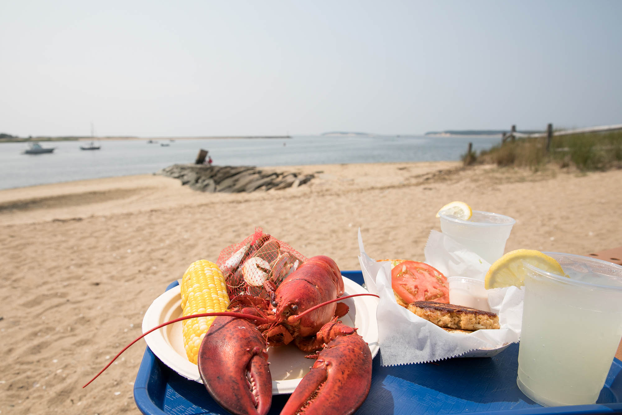 Enjoying cooked lobster and other seafood on the beach in Cape Cod, Massachusetts