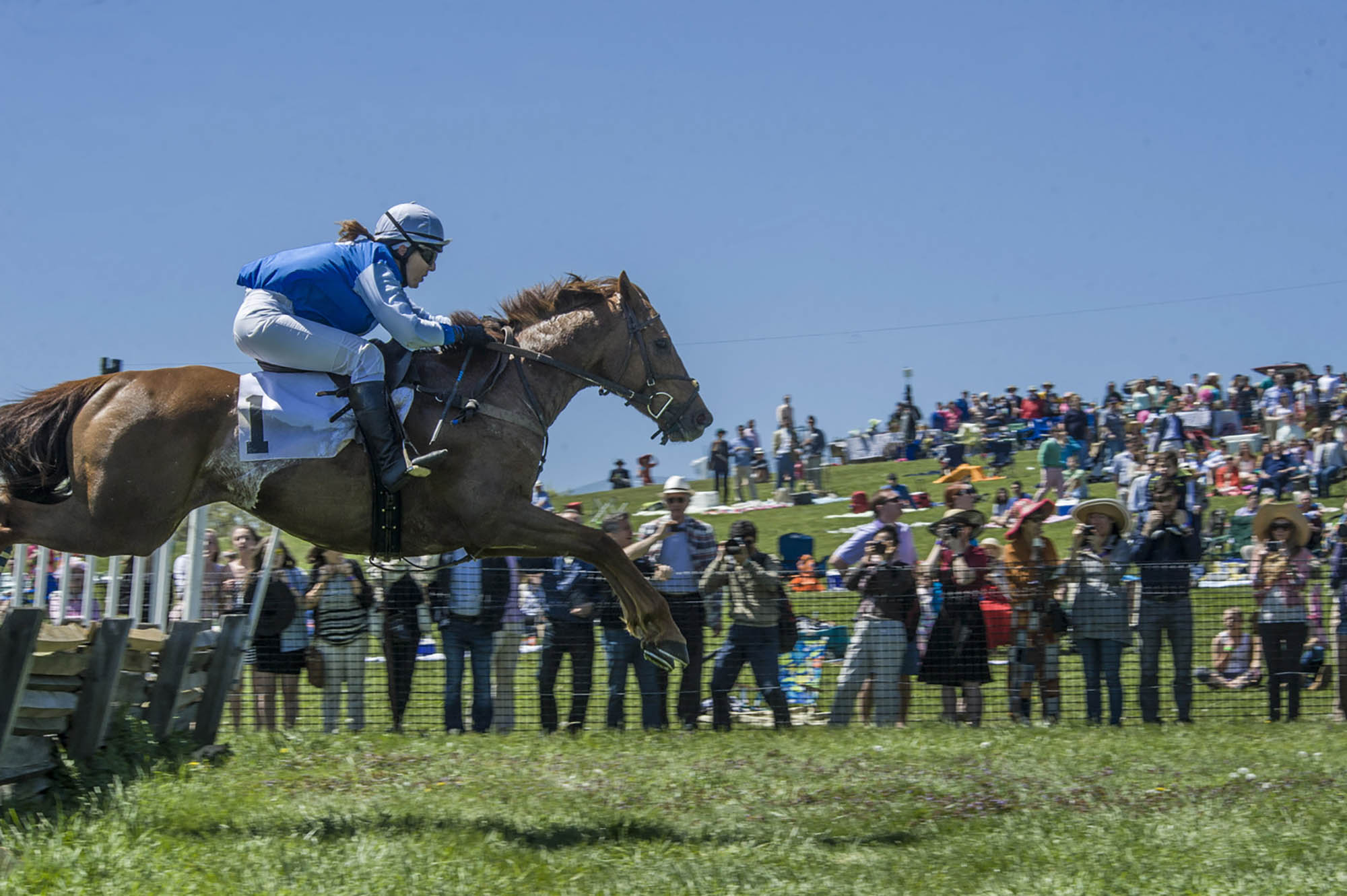 Winterthur Point-to-Point Steeplechase in Winterthur, Delaware