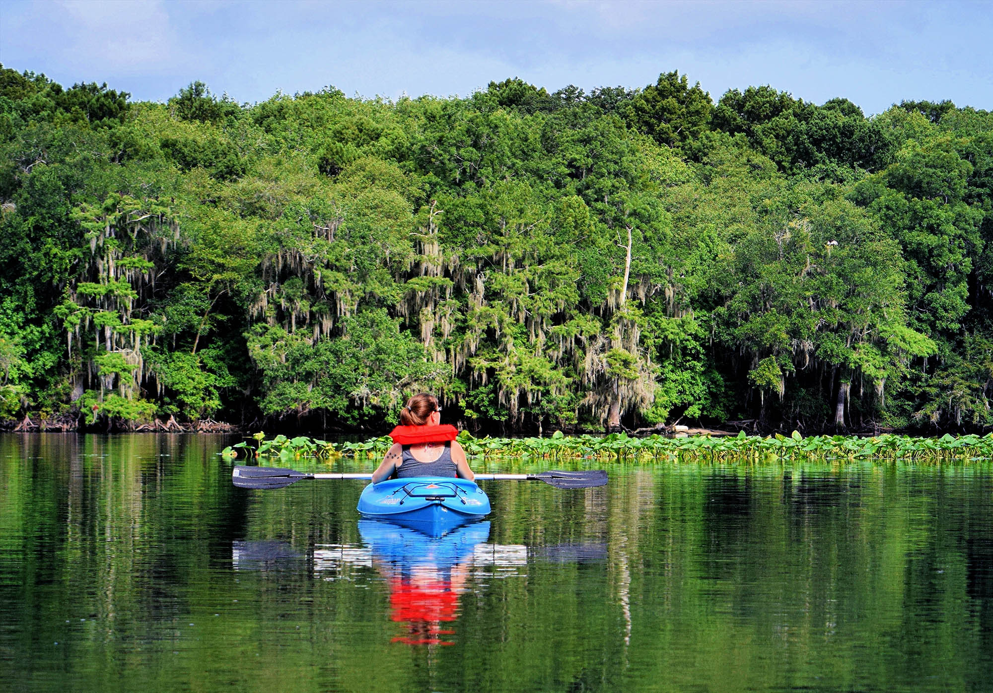 The Suwannee River near Suwannee, Florida
Credit: Sheri McElroy
