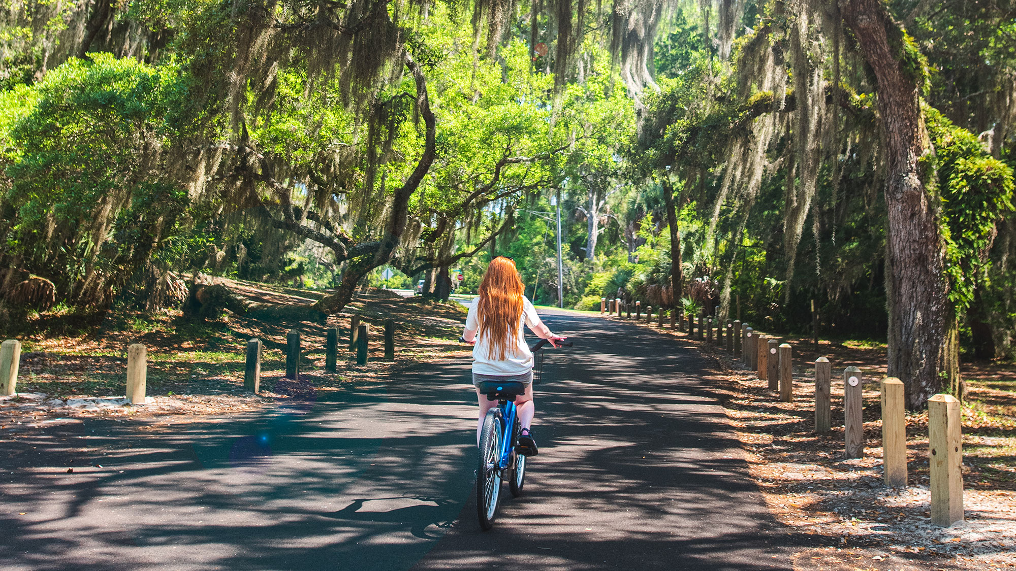 Biking under a tree canopy on Jekyll Island, Georgia