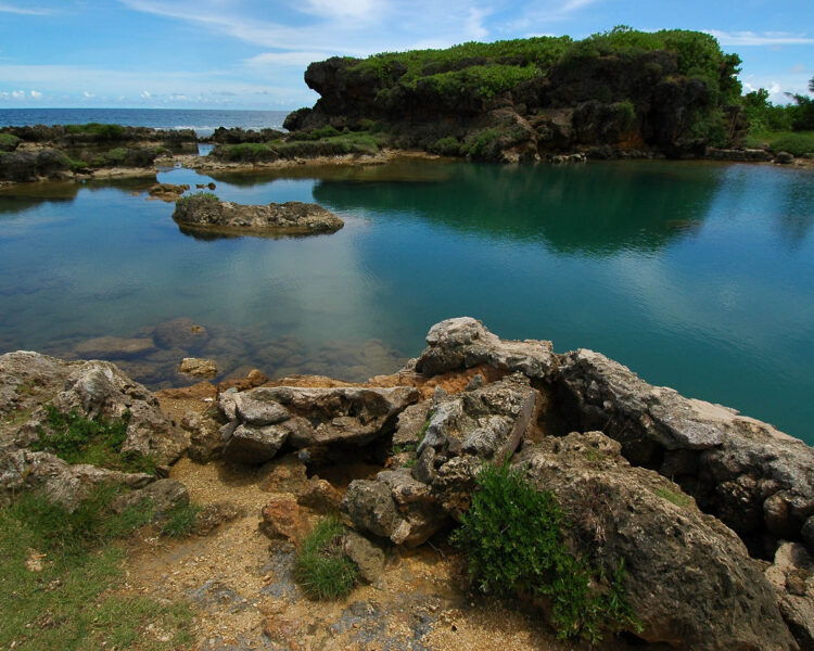 グアムの写真 Moto | 今朝の月🌕 #グアム #朝 #南国 #ビーチリゾート #月 #犬 #魚