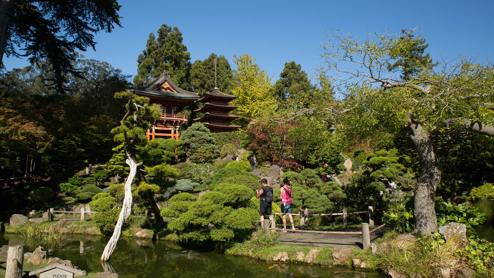 The Japanese Tea Garden in San Francisco's Golden Gate Park in California
