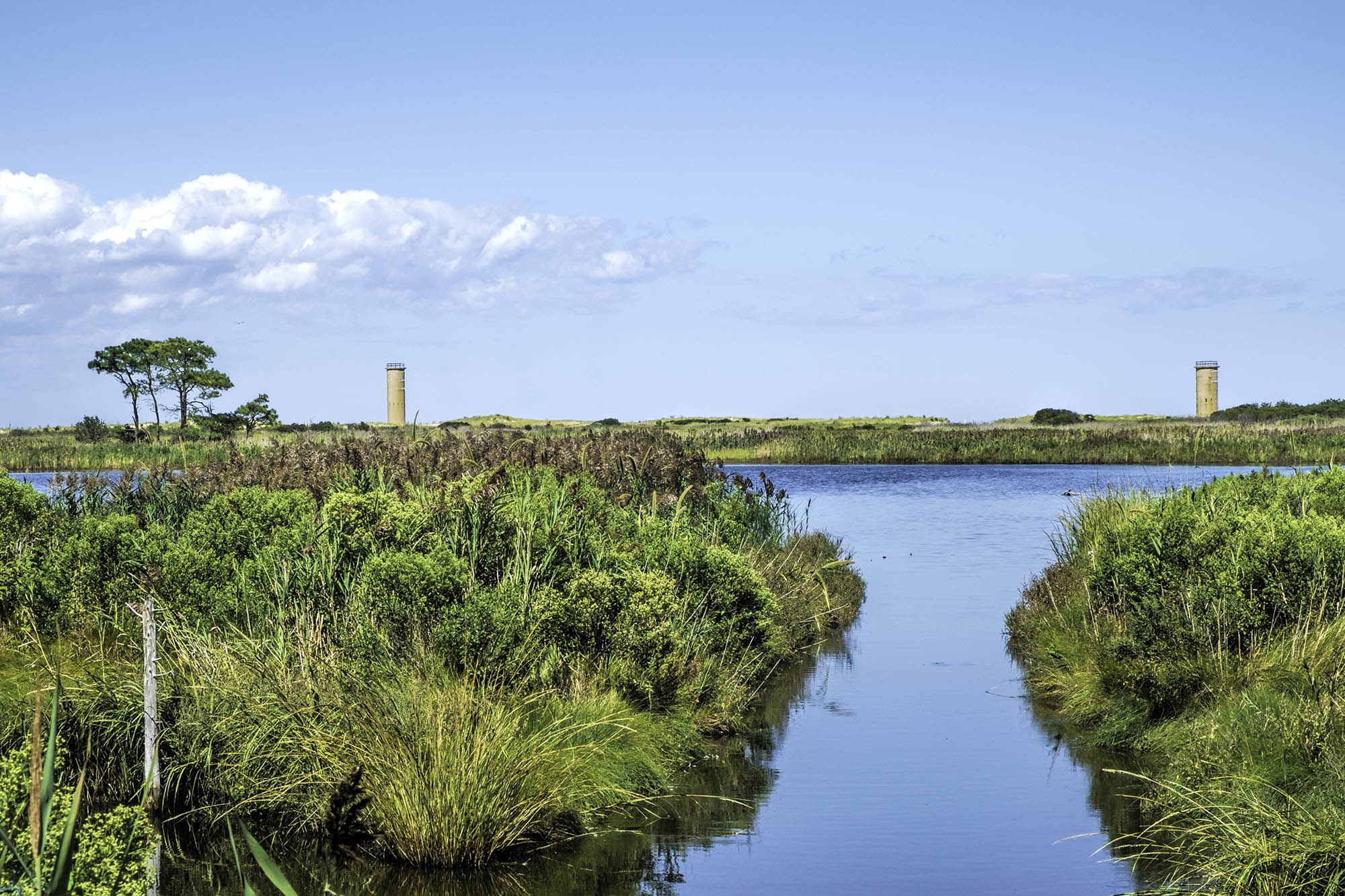 Inside the Gordon’s Pond Wildlife Area in Rehoboth Beach, Delaware
