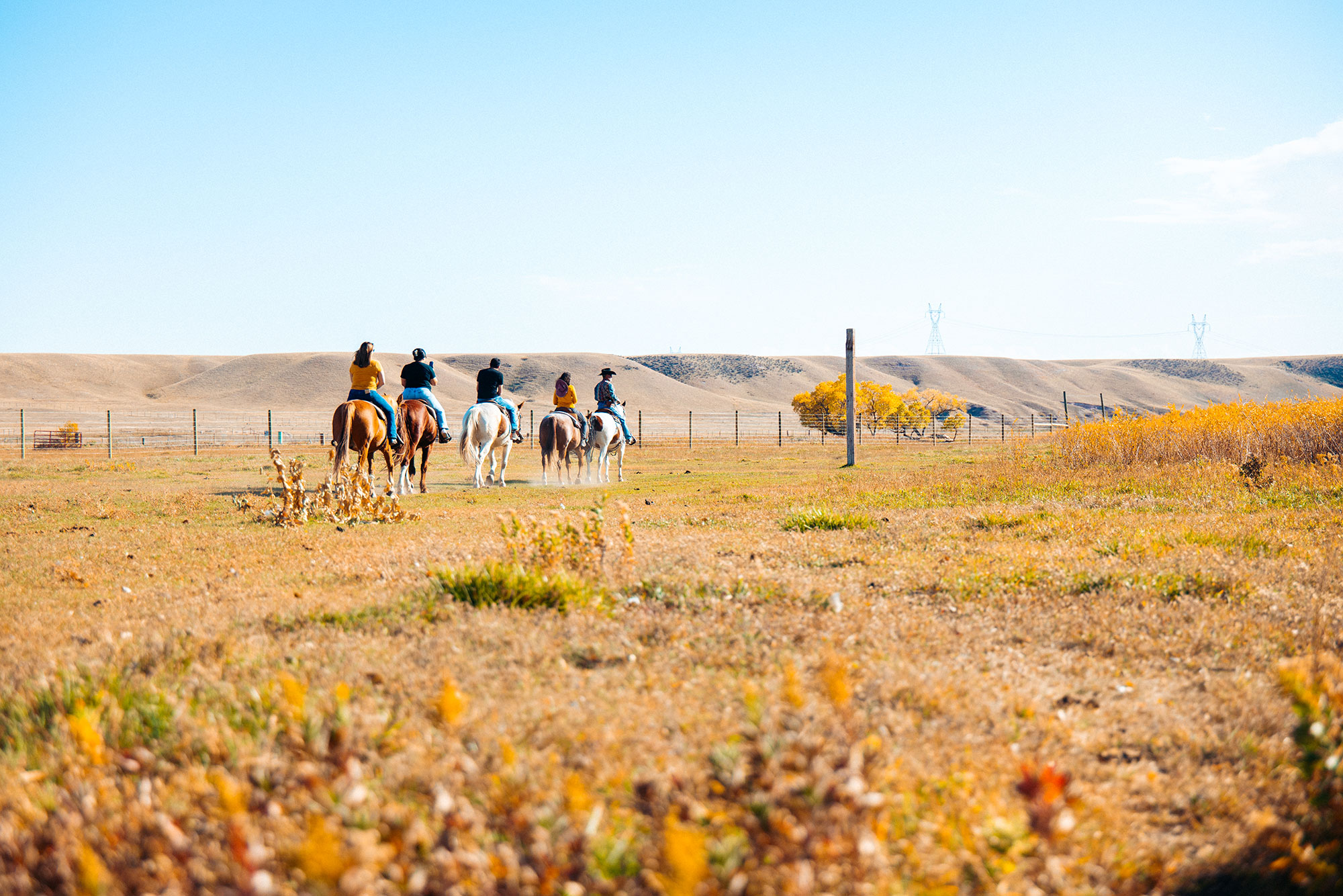 Horseback riders at the Terry Bison Ranch Resort in Cheyenne, Wyoming 
