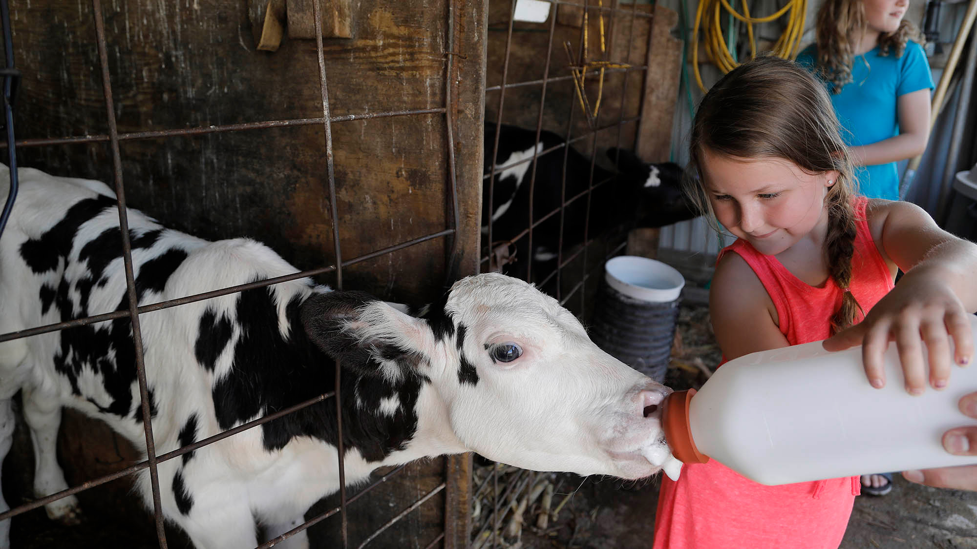 Hansen’s Dairy in Hudson, Iowa
