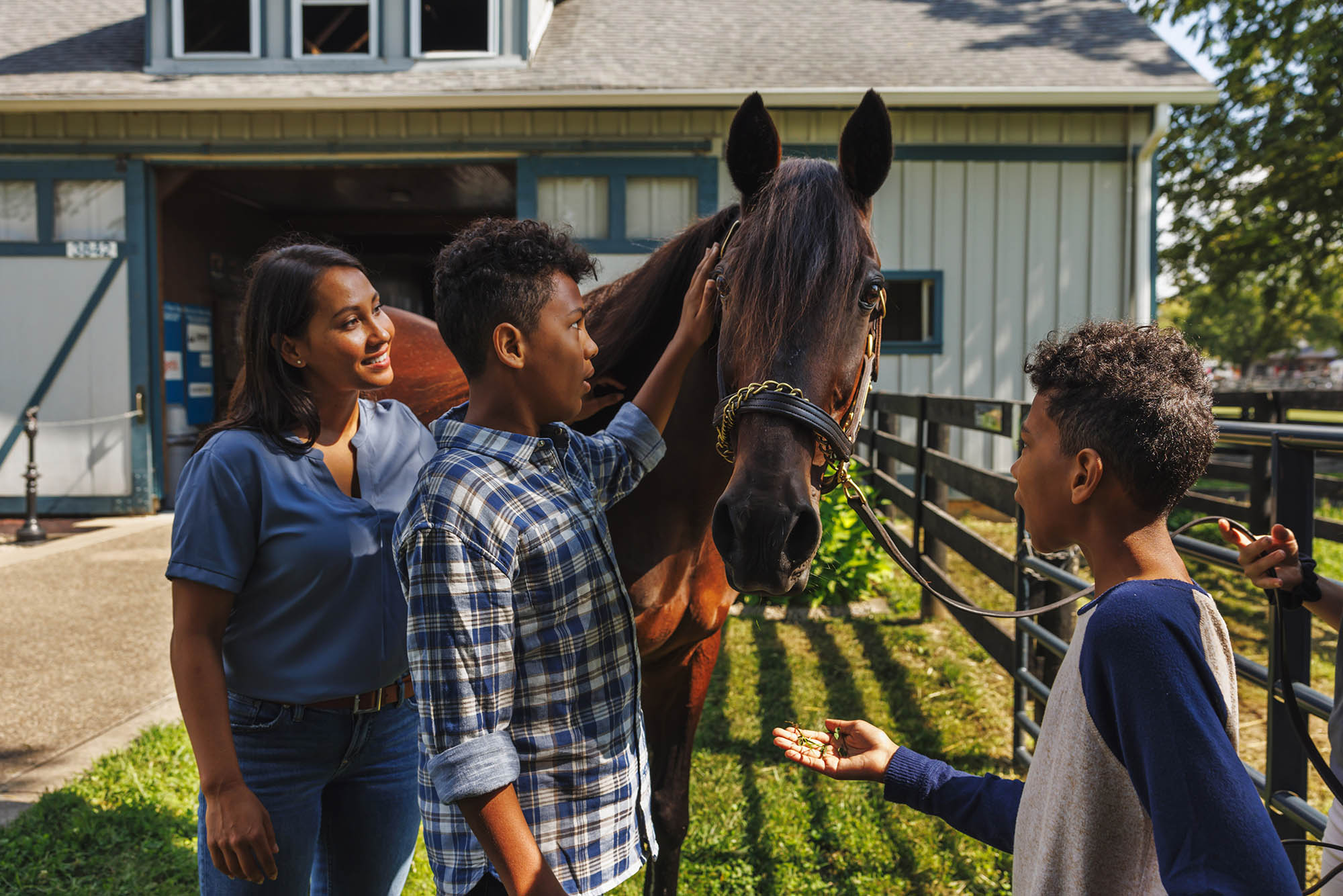 The Kentucky Horse Park in Lexington, Kentucky