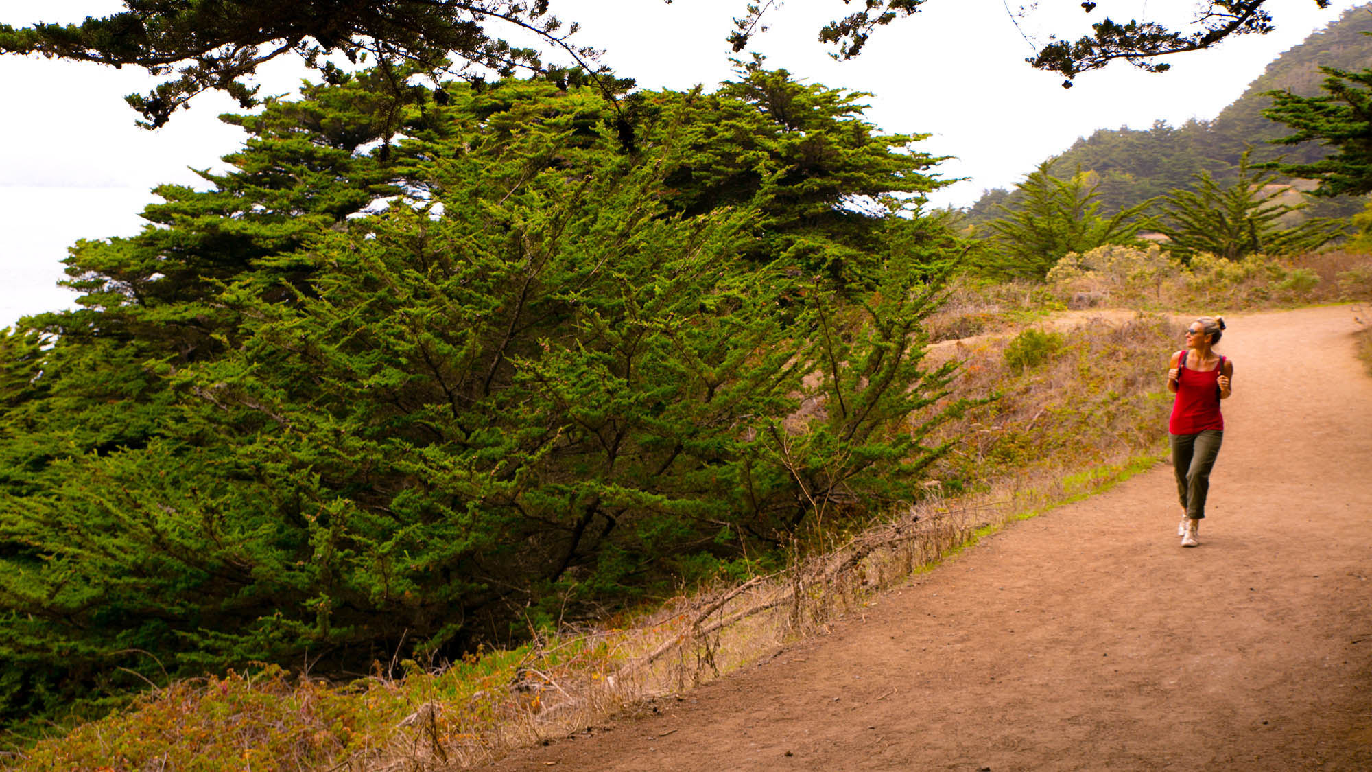 Hiking the Lands End Trail in San Francisco, California