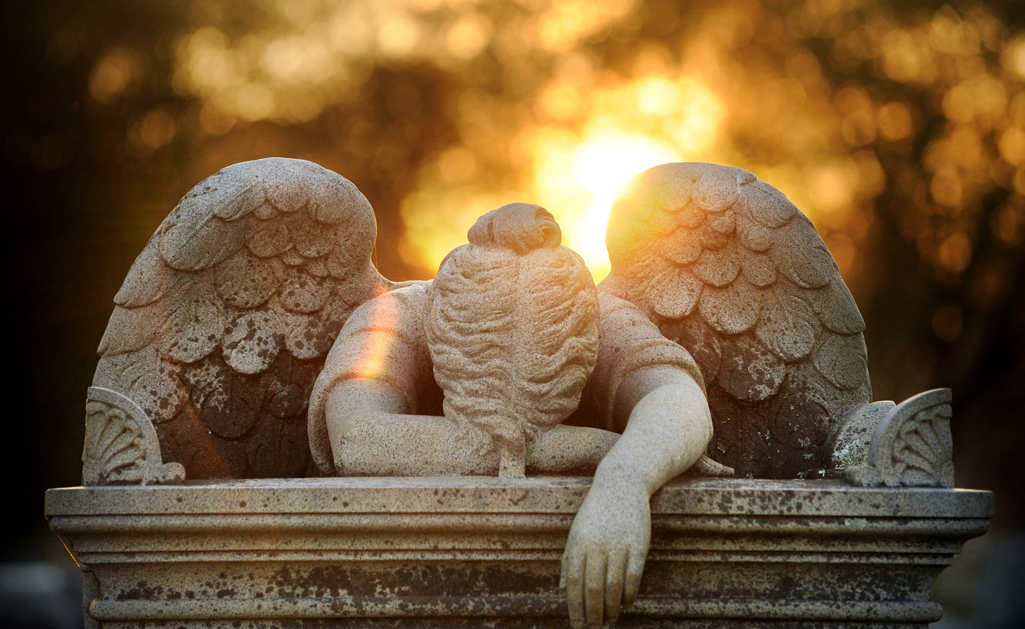 Friendship Cemetery in Columbus, Mississippi