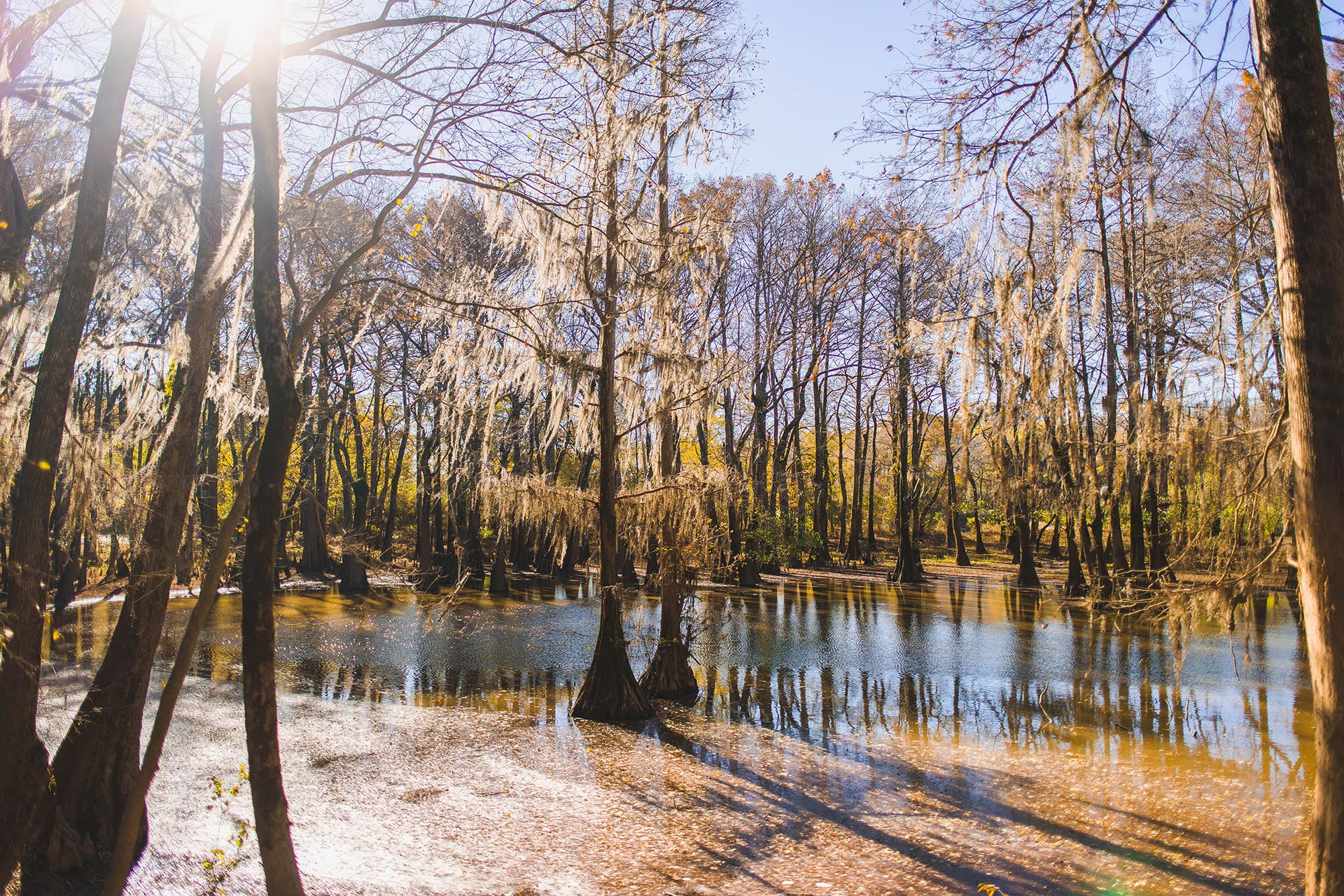 LaFleur’s Bluff State Park near Jackson, Mississippi
Credit: Lindsay McMurtray