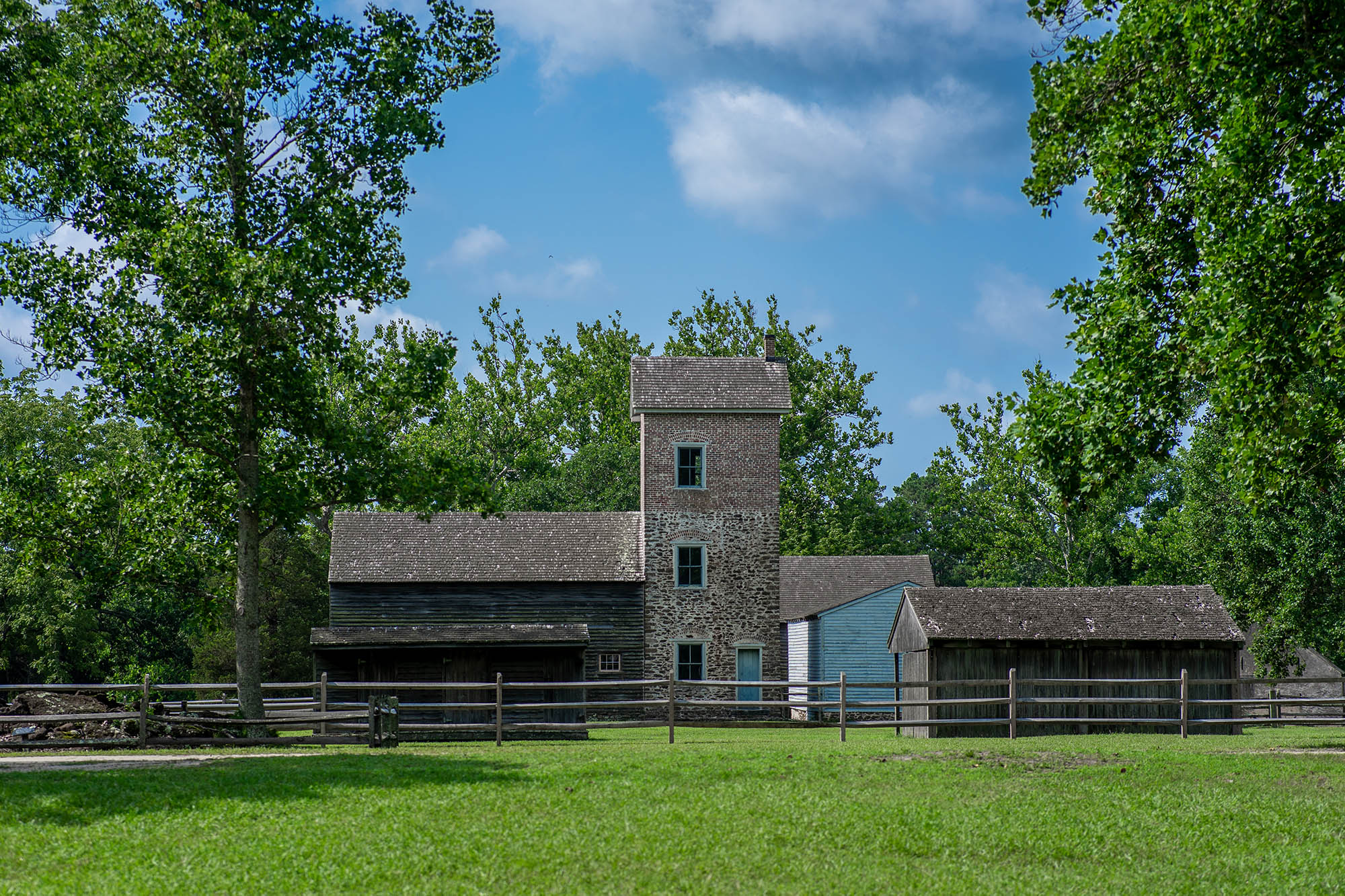Wharton State Forest in New Jersey