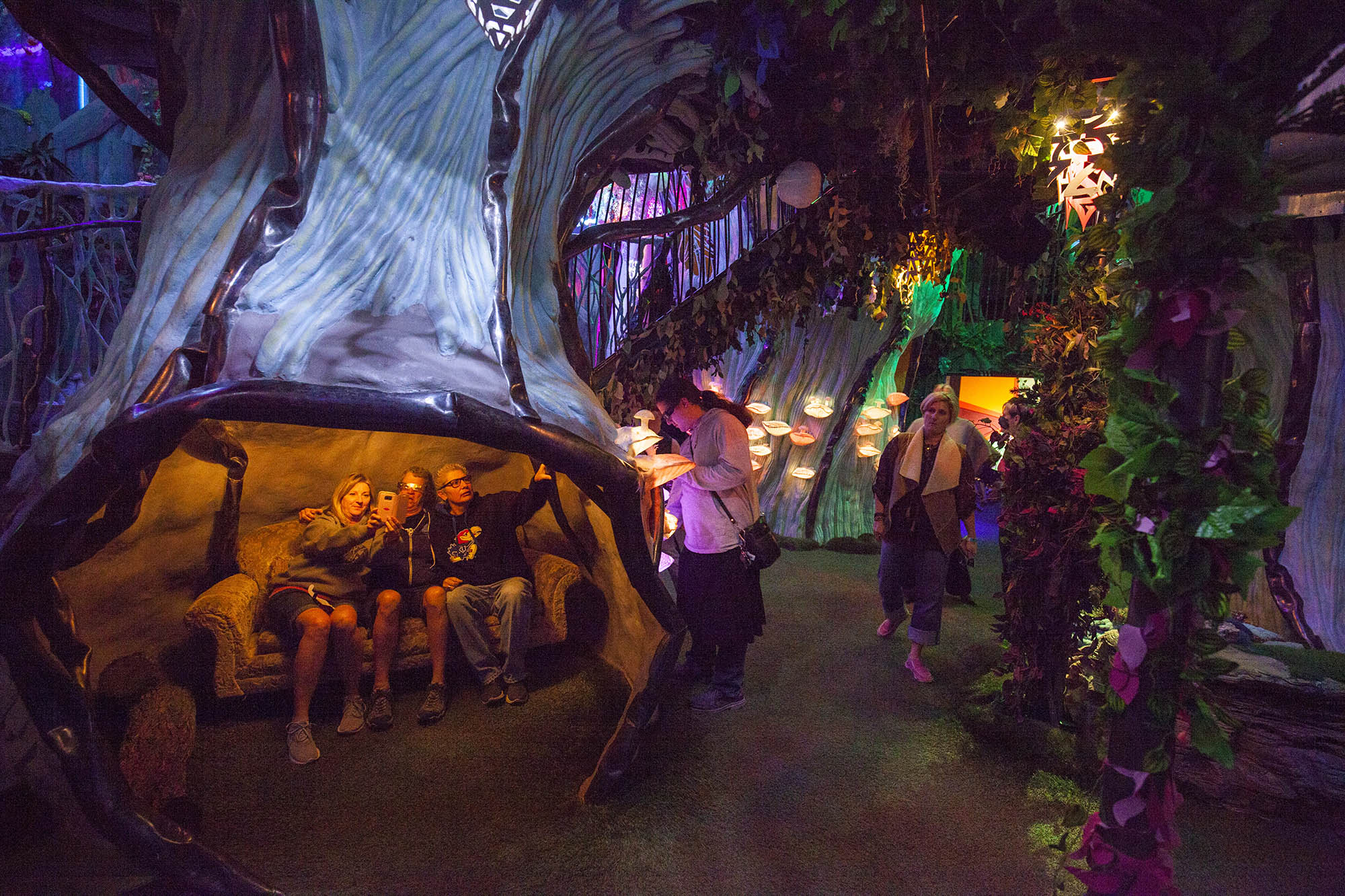 Exploring immersive exhibits at Meow Wolf Santa Fe in New Mexico