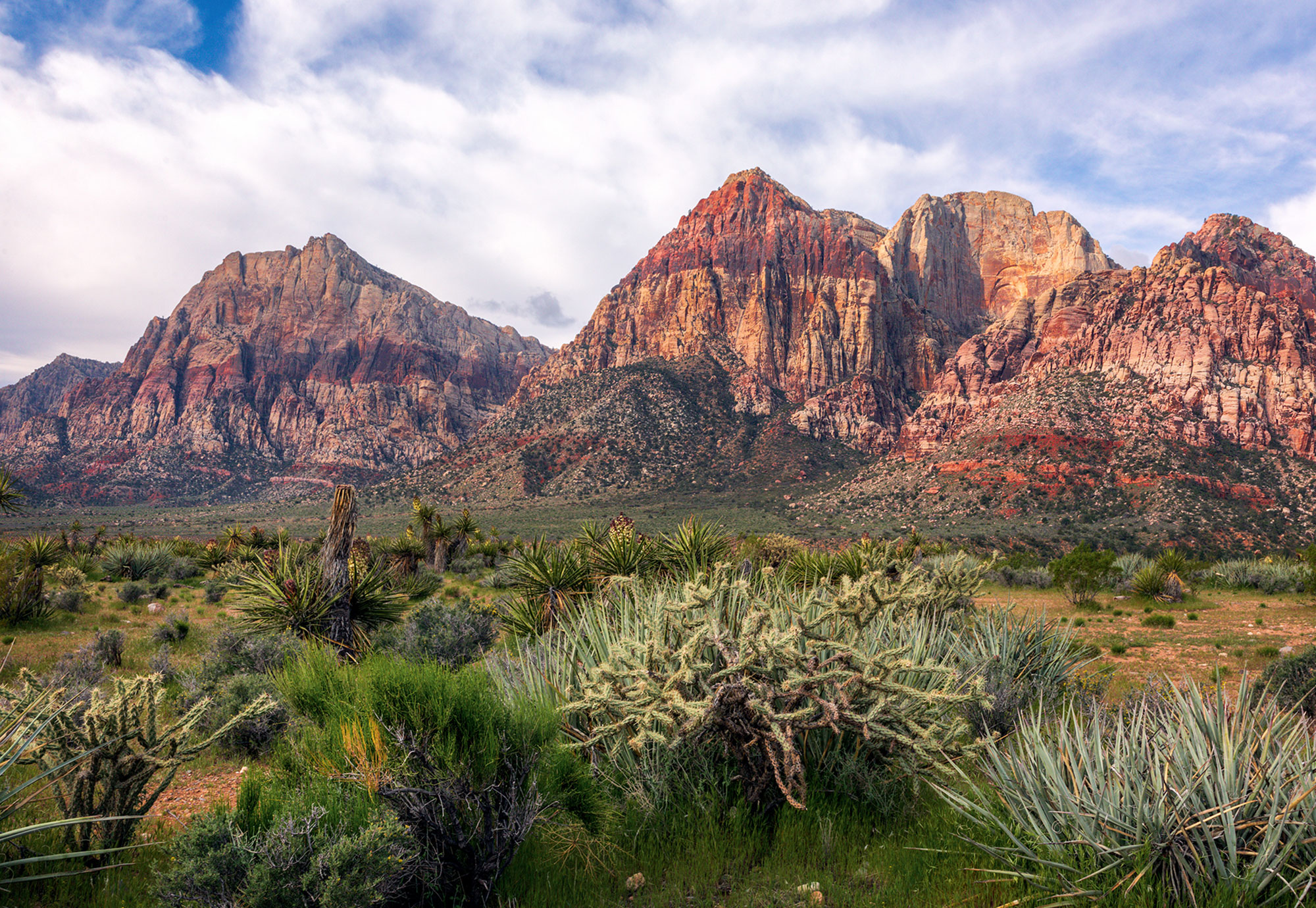 Red Rock Canyon National Conservation Area near Las Vegas, Nevada.