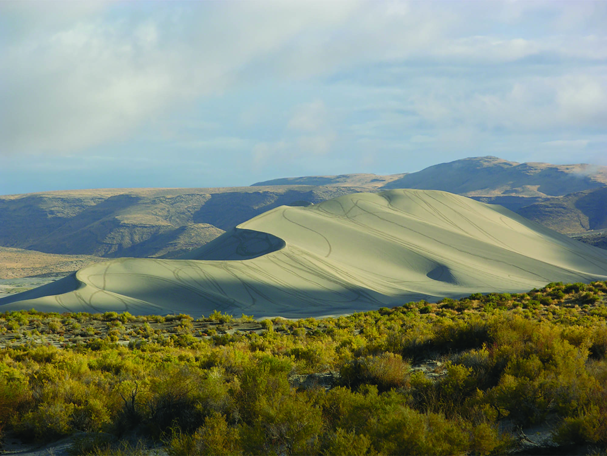 Sand Mountain Recreation Area near Fallon, Nevada