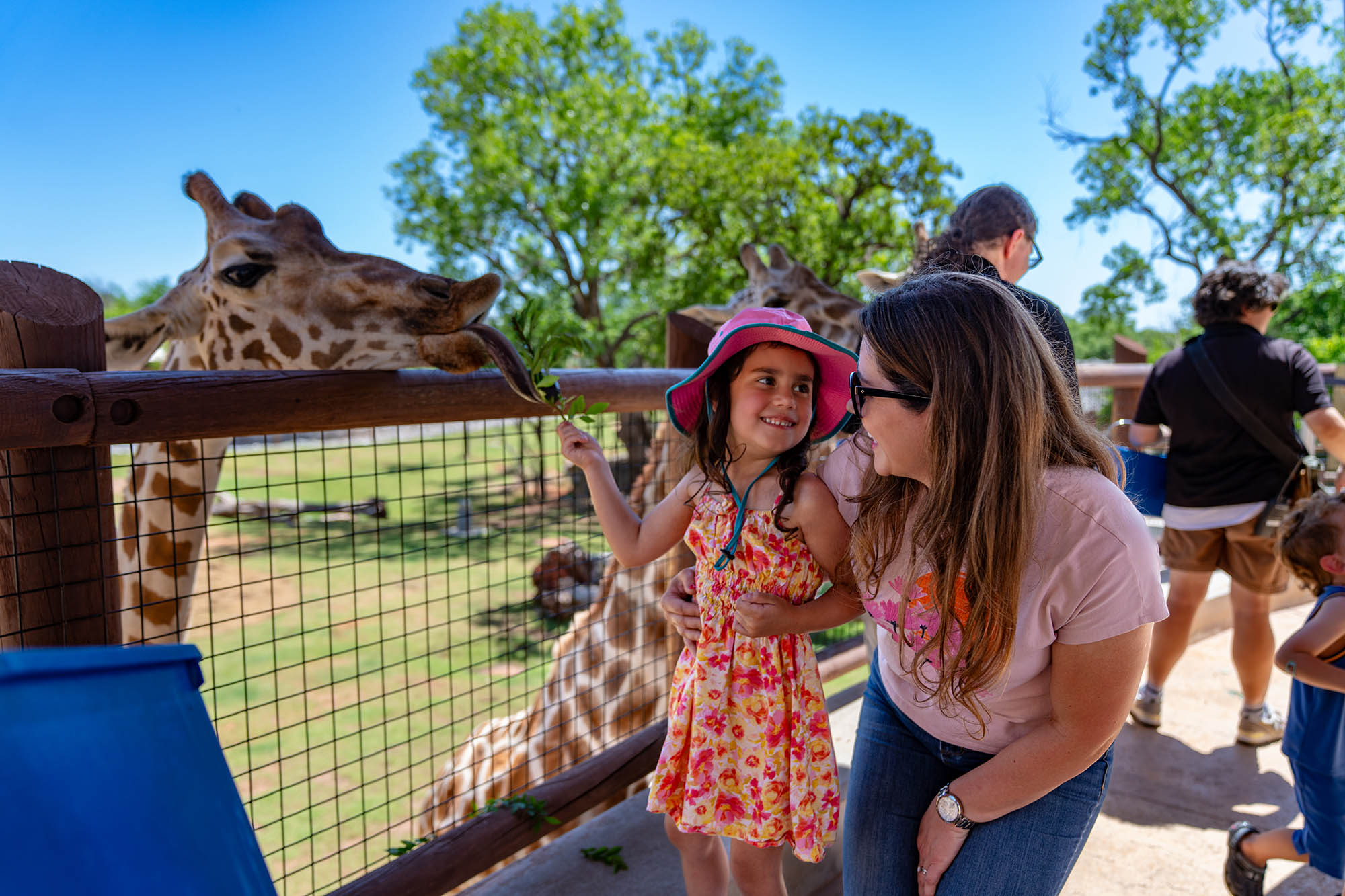 A mother and daughter feeding a giraffe at the Oklahoma City Zoo in Oklahoma City, Oklahoma
