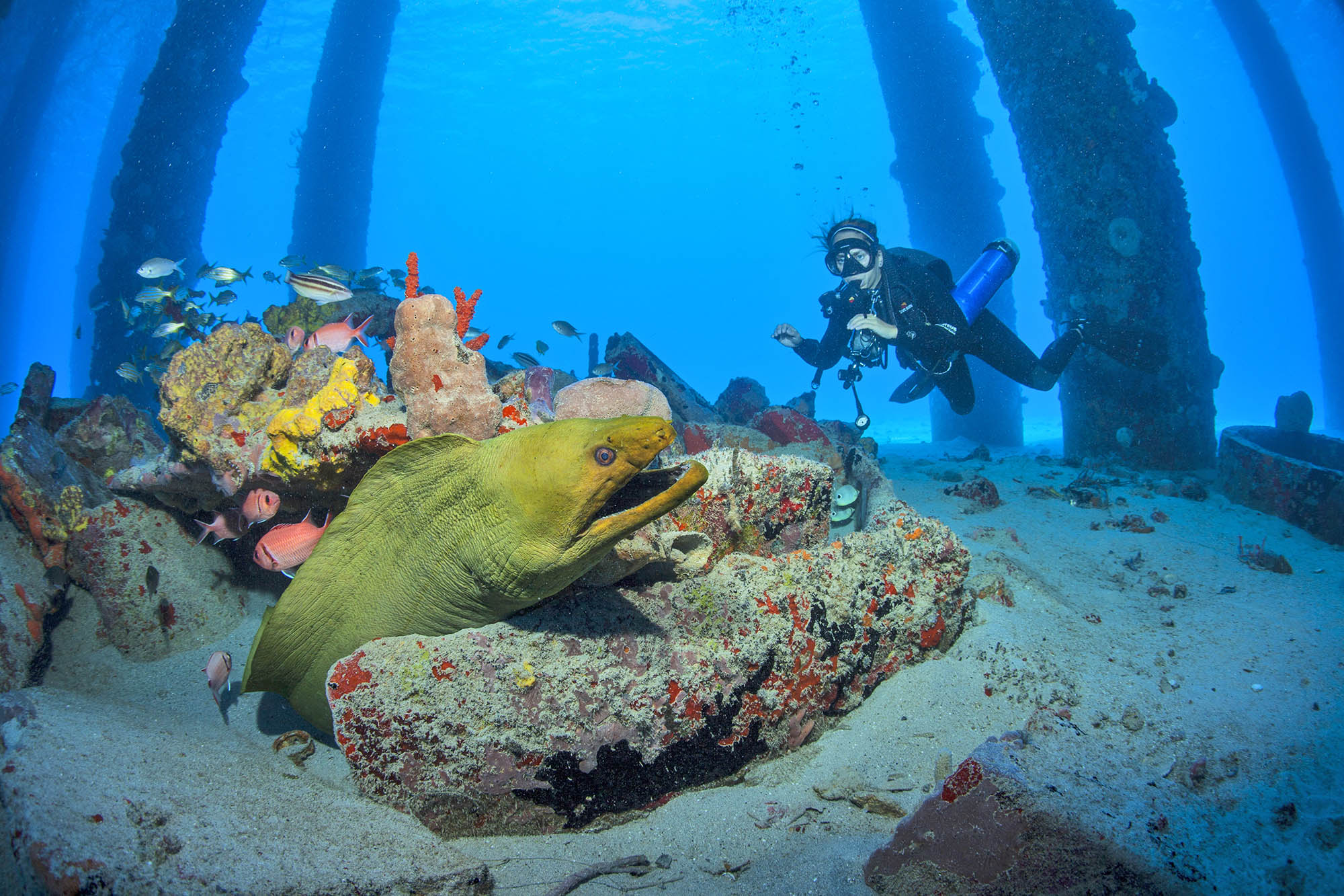 Diving at the Frederiksted Pier, St. Croix