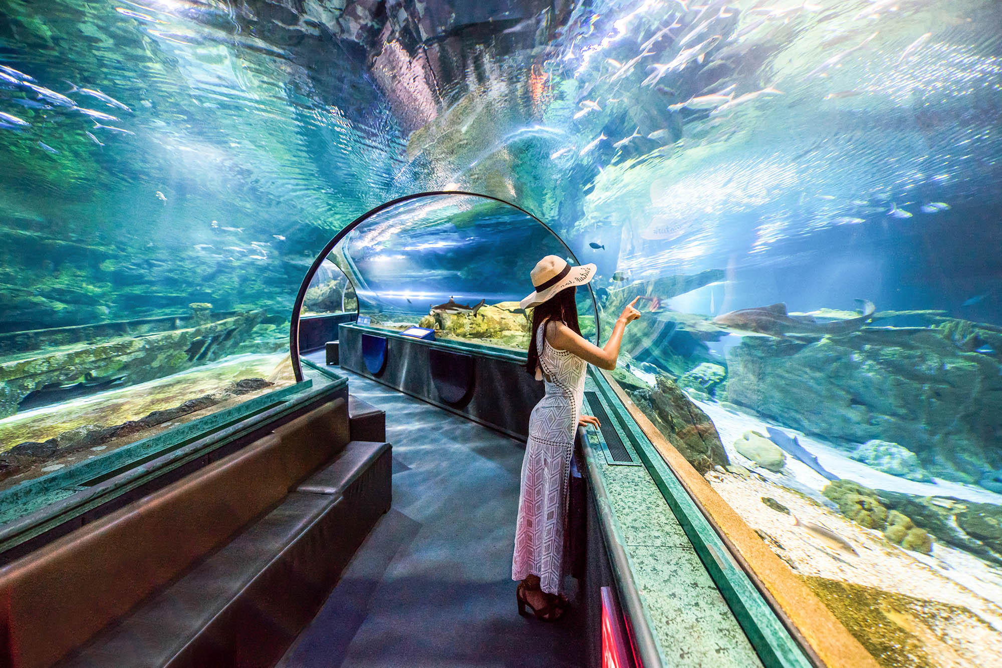 Visiting the Aquarium of Guam in Tumon, Guam; Credit: Guam Visitors Bureau
