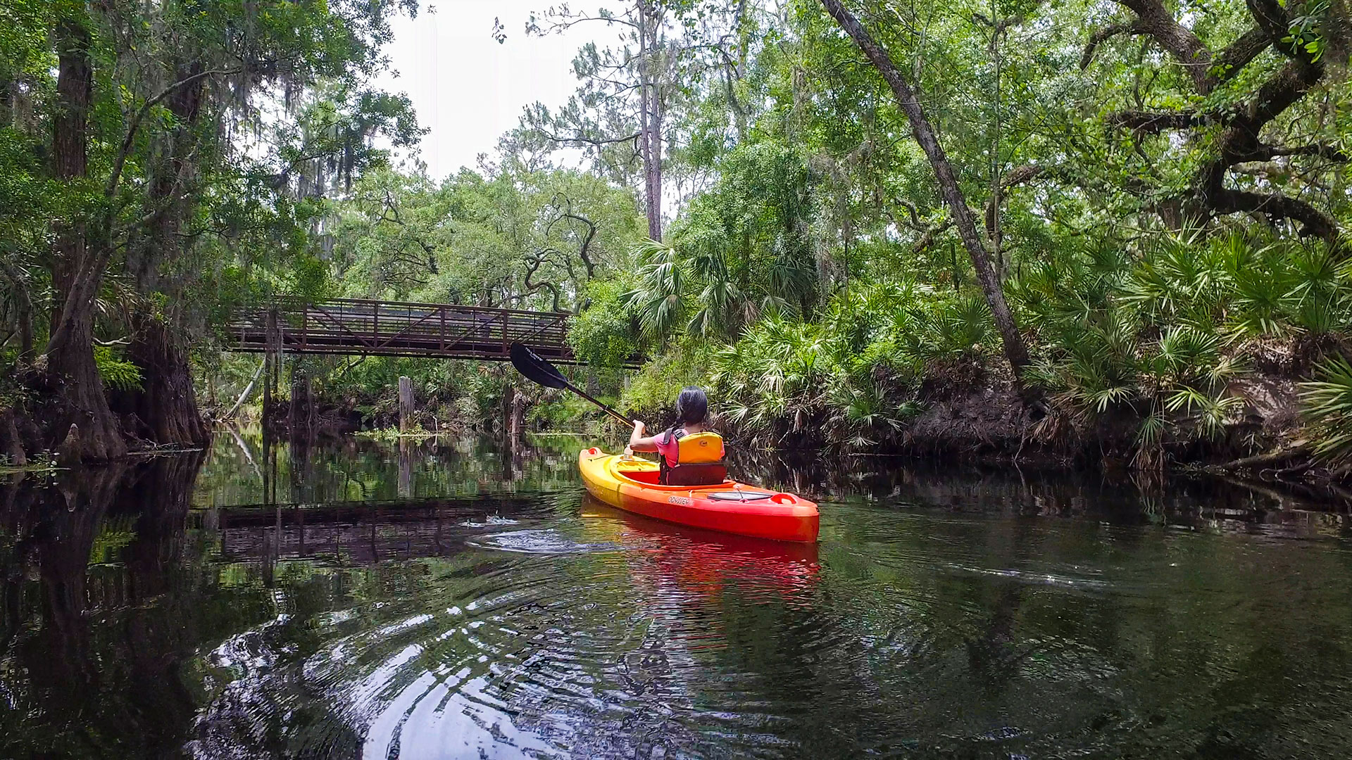 Taking in the scenery on a kayak from The Paddling Center at Shingle Creek in Kissimmee, Florida