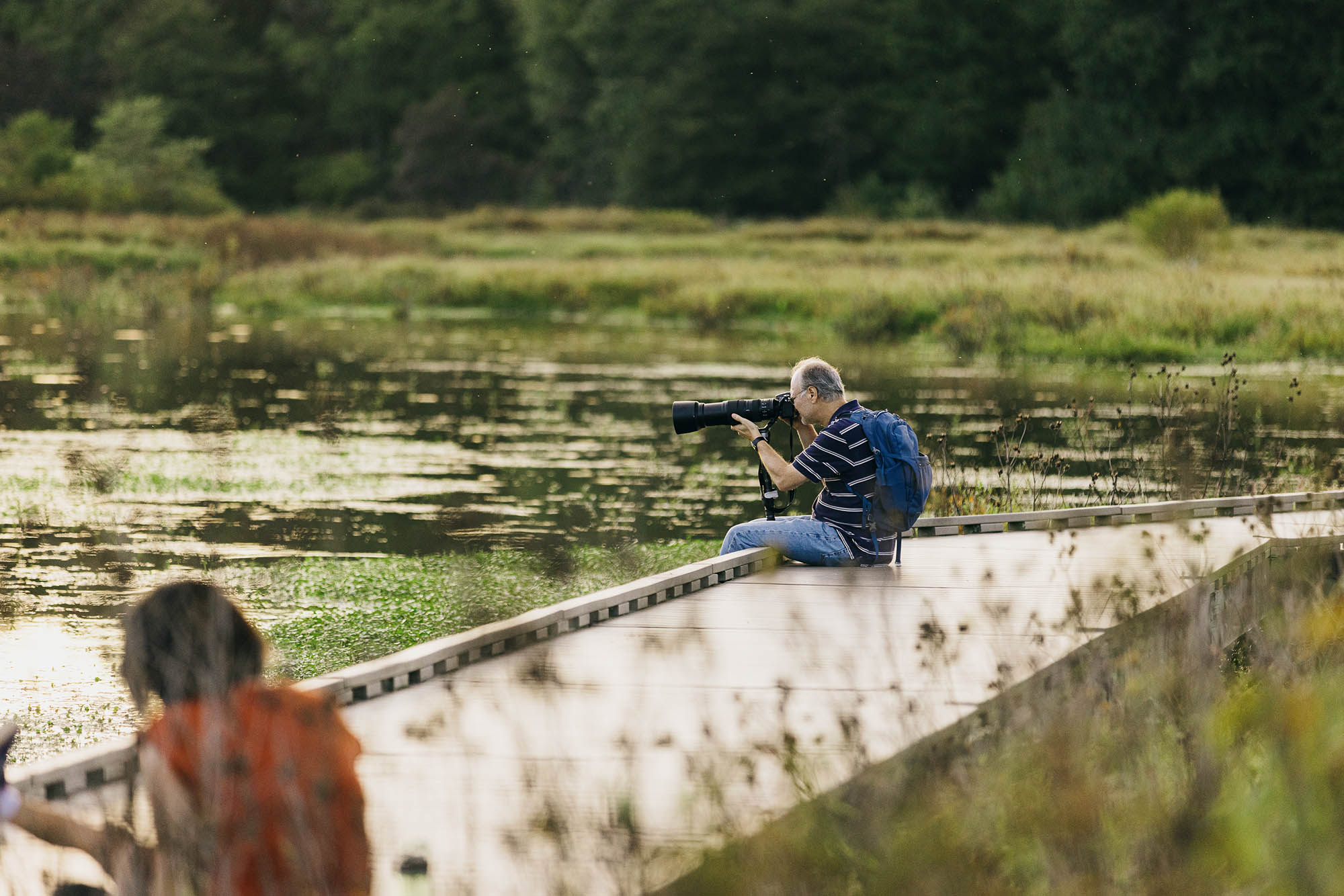 Huntley Meadows Park in Fairfax County, Virginia