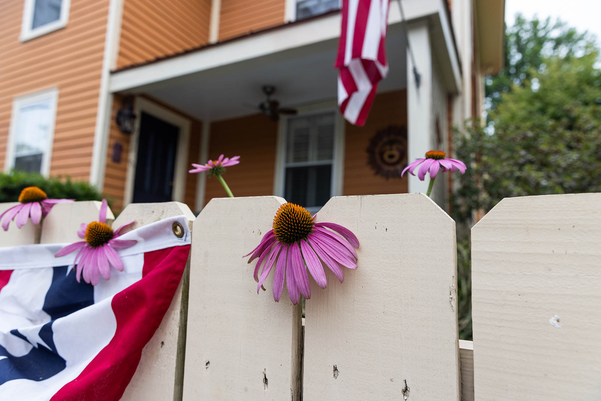 Flowers along a cute street in Clifton, Virginia