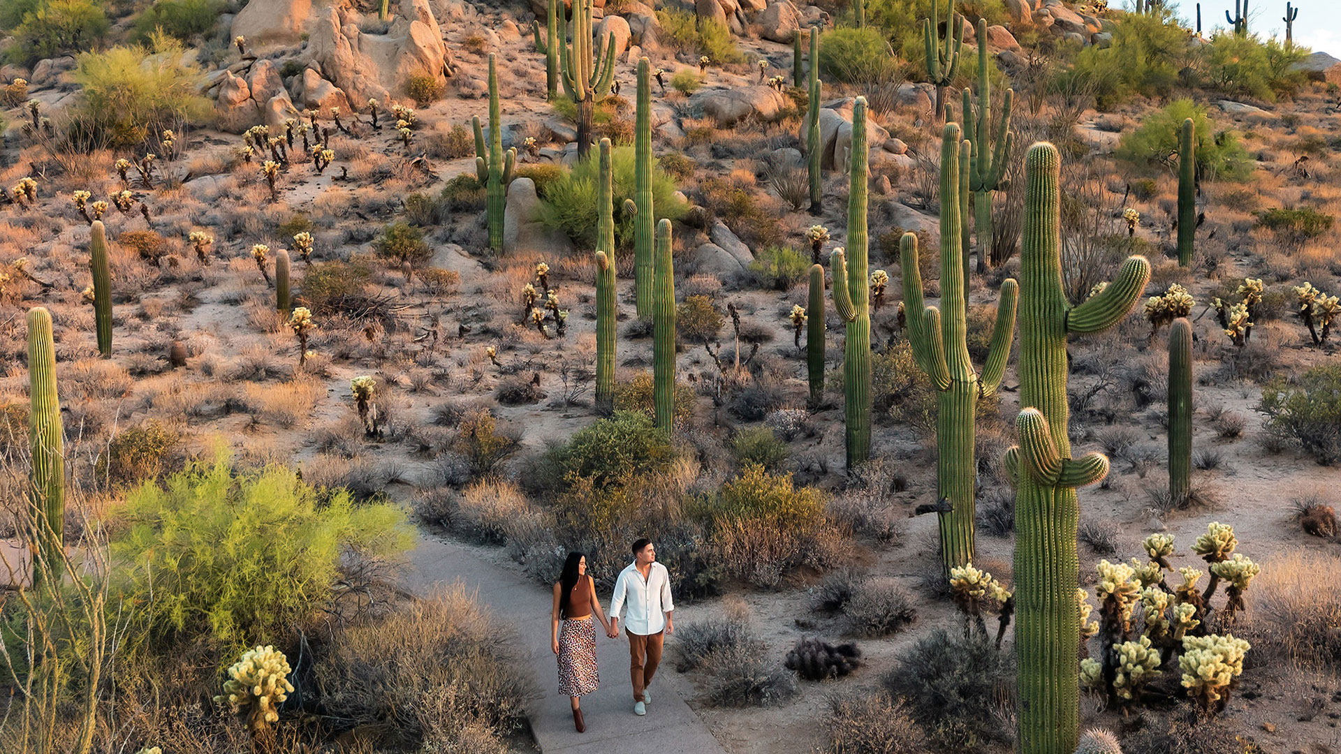 Visitors taking in the stunning landscapes of the Sonoran Desert near Scottsdale, Arizona.
