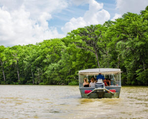 Pontoon boat tour on Honey Island Swamp in Slidell, Louisiana