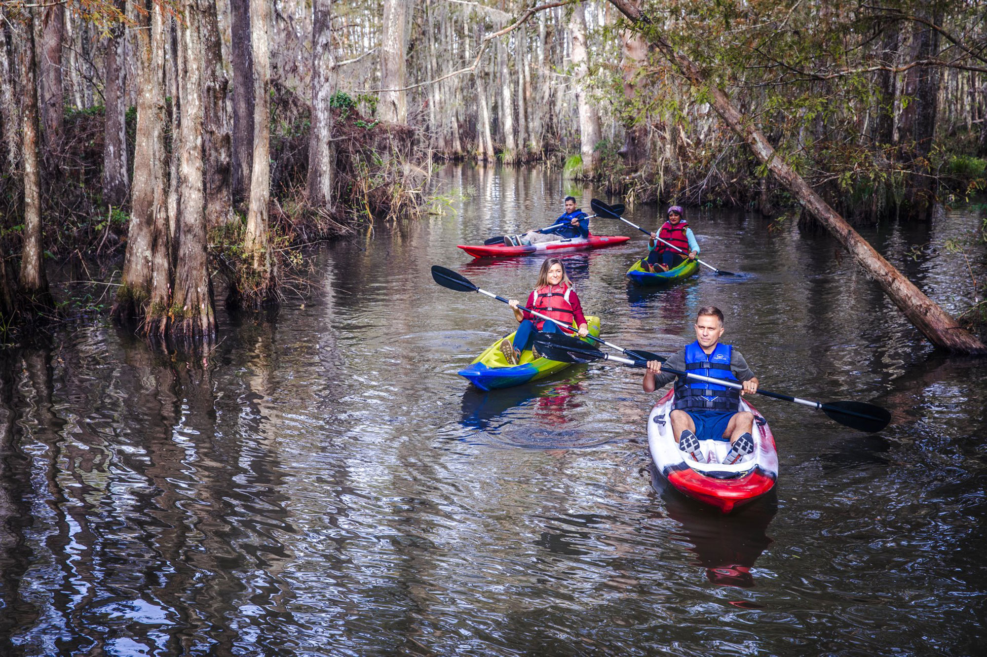 Kayakers paddling through the Honey Island Swamp in Slidell, Louisiana.