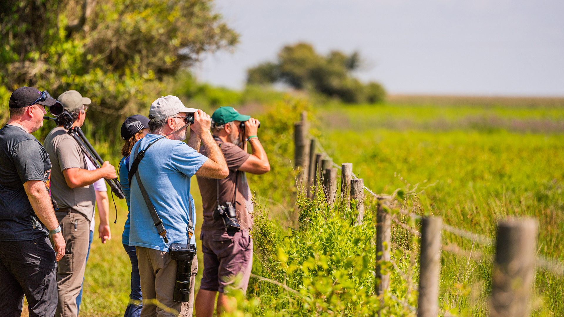 Birding in the marshlands surrounding Lake Charles, Louisiana