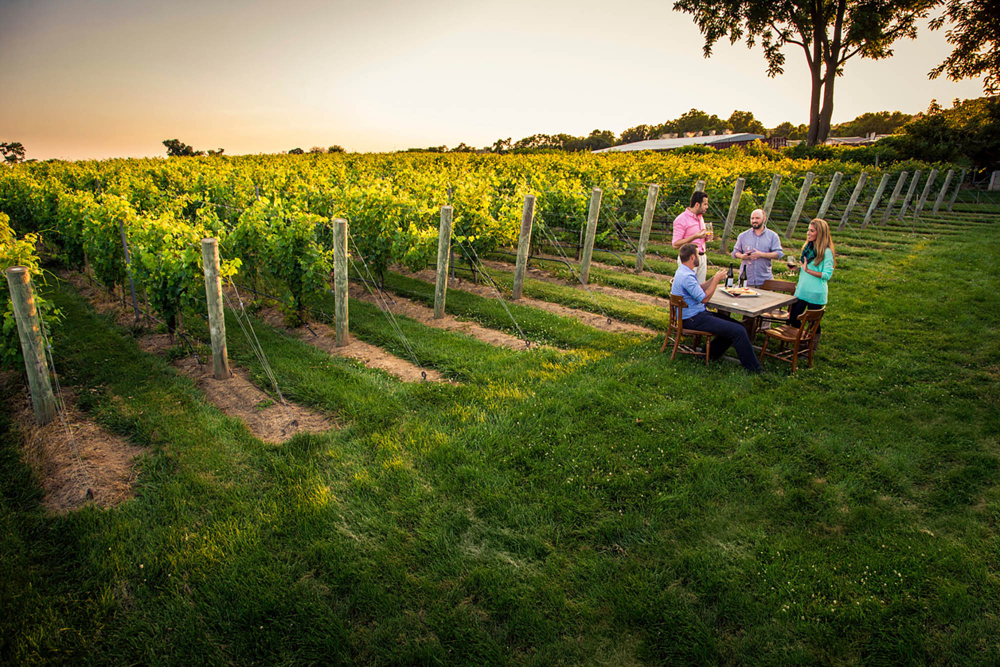 Va La Vineyards in Chester County, Pennsylvania