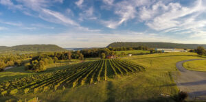 Vineyards at The Winery at Hunters Valley in Liverpool, Pennsylvania. Credit: Visit Hershey & Harrisburg