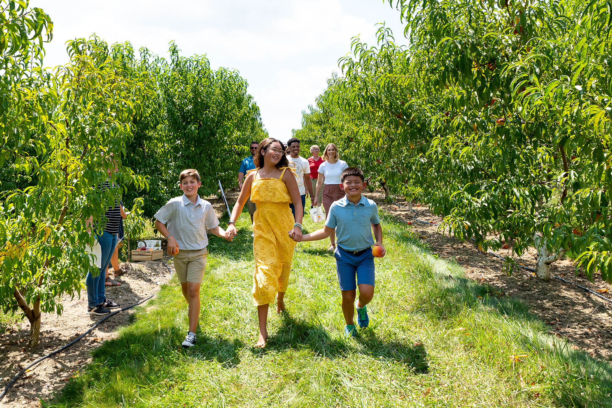 Flinchbaugh’s Orchard & Farm Market in York County, Pennsylvania