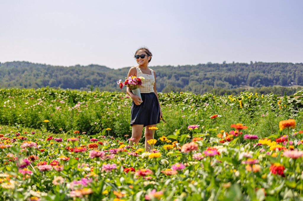 Flinchbaugh’s Orchard & Farm Market near York, Pennsylvania
