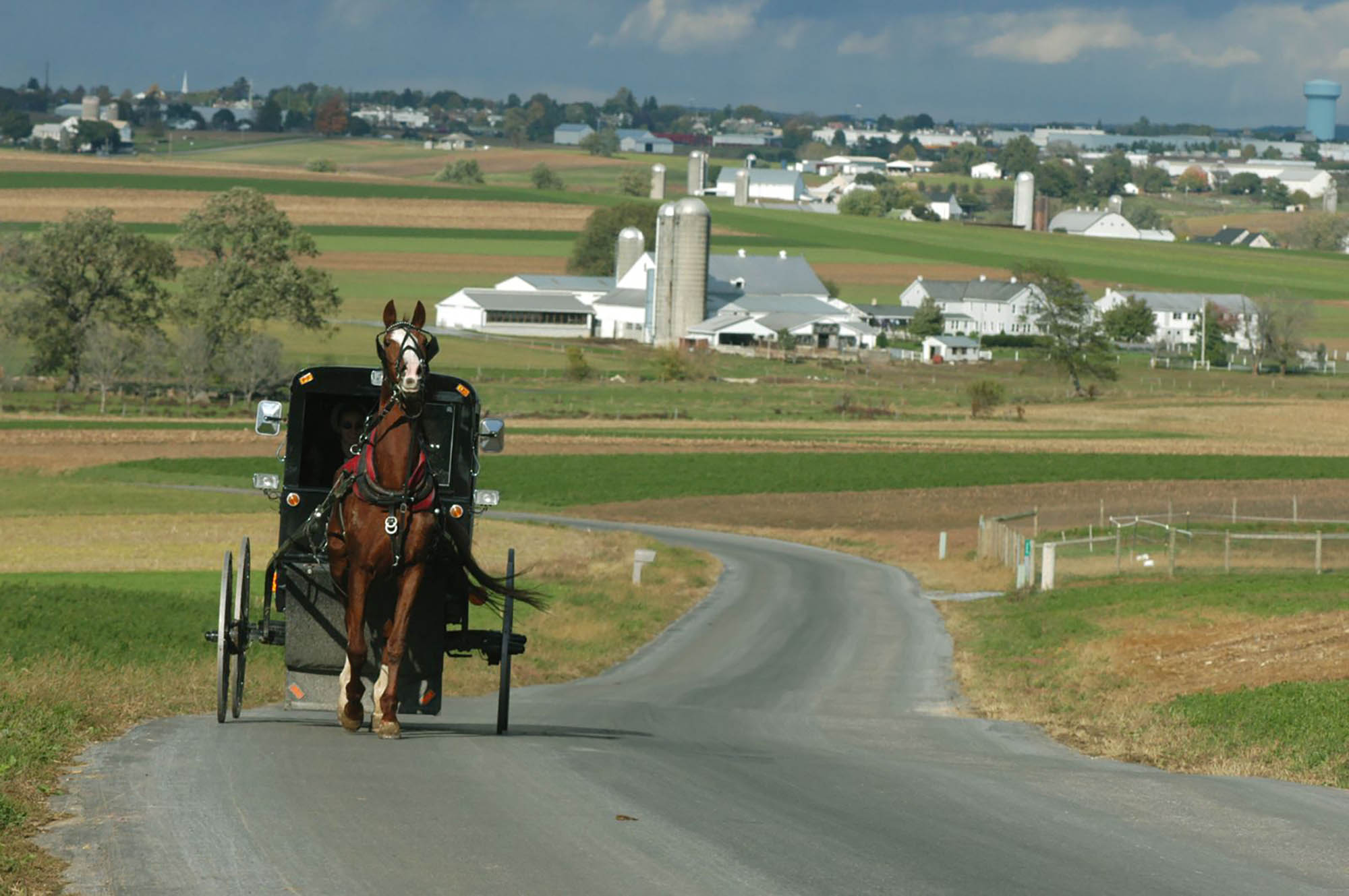 A buggy ride in view of the Amish countryside in Lancaster County, Pennsylvania. Credit: Discover Lancaster
