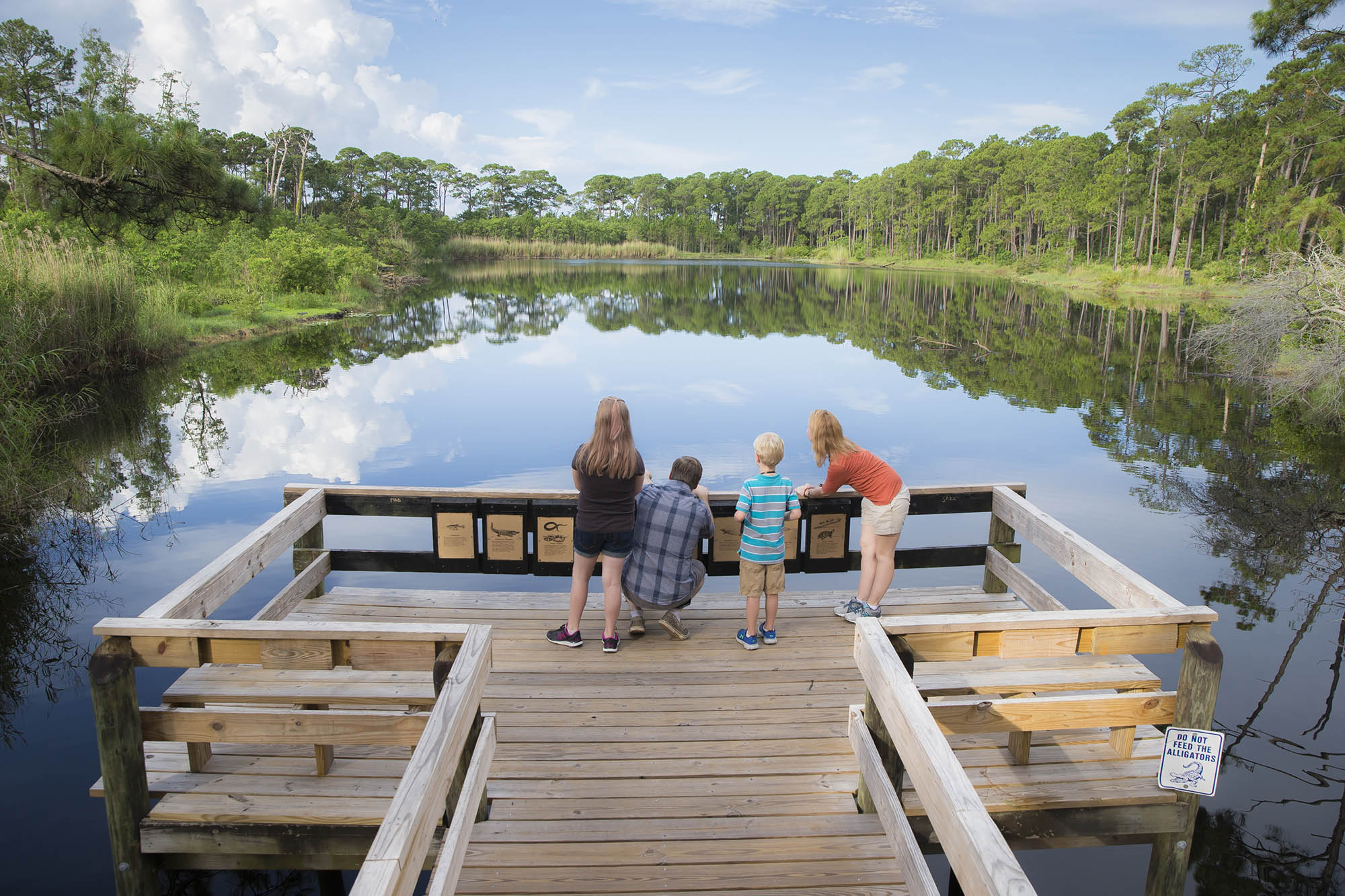 Sightseeing from a boardwalk on Dauphin Island, Alabama
