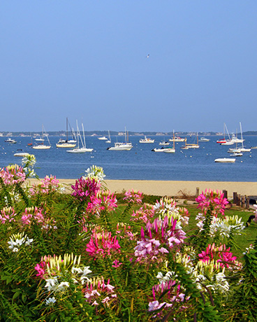 Flowers and beach views from downtown Hyannis on Cape Cod, Massachusetts; Credit: Paul Scharff
