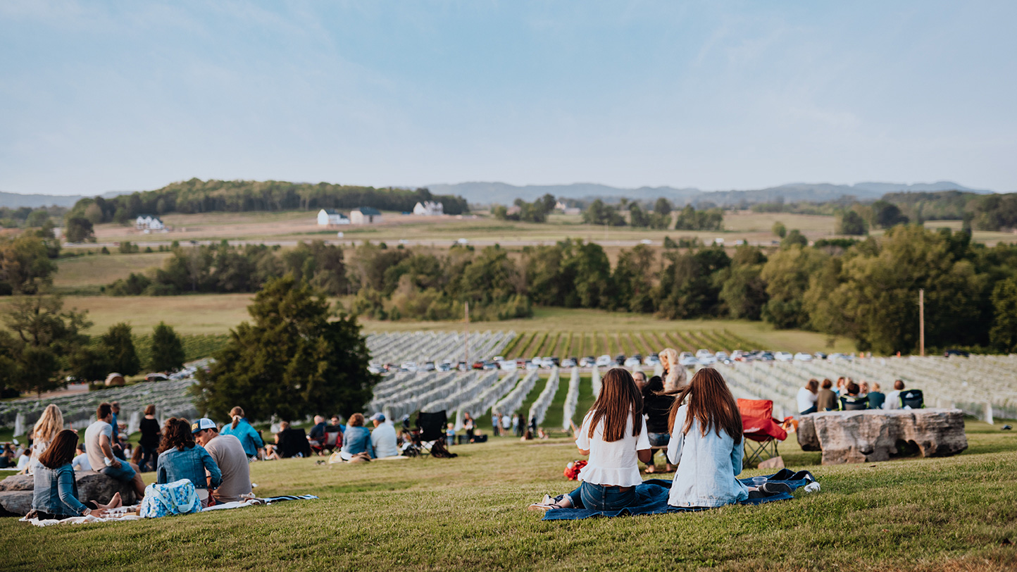 Picnicking at Arrington Vineyards in Franklin, Tennessee; Credit: Nathan Zucker